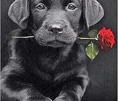 diamond painting perro