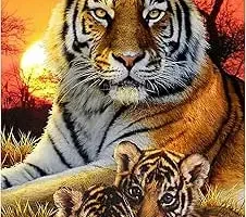 diamond painting tigre