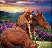 Diamond painting caballo